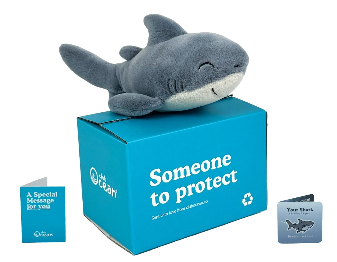 Send a Plushie